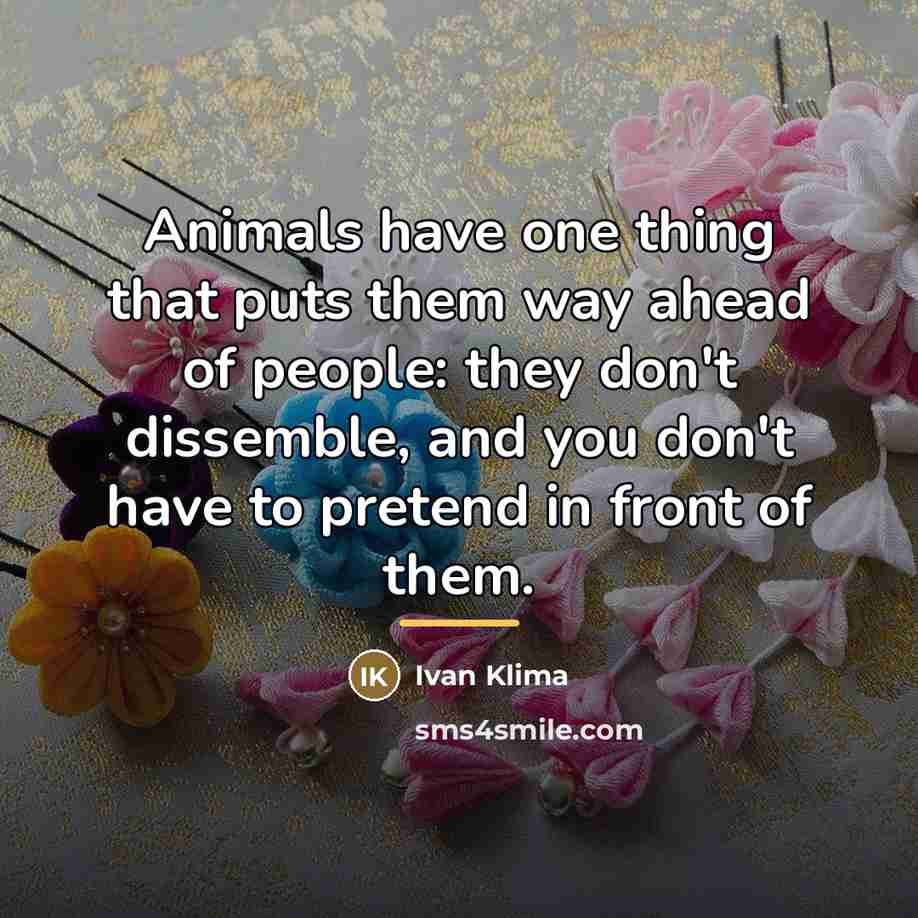 “Animals have one thing that puts them way ahead of…” quote by Ivan Klíma