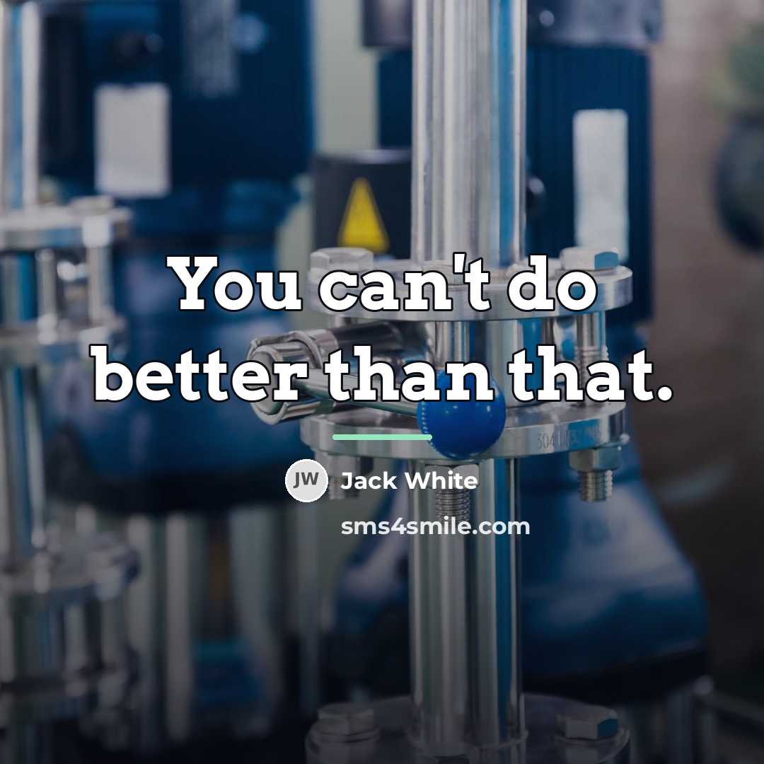“You can't do better than that.…” quote by Jack White