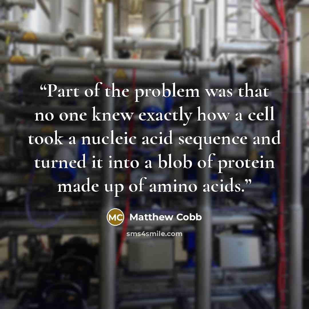 “Part of the problem was that no one knew exactly how a cell took a nucleic acid sequence and turned it into a blob of protein made up of amino acids.” quote by Matthew Cobb
