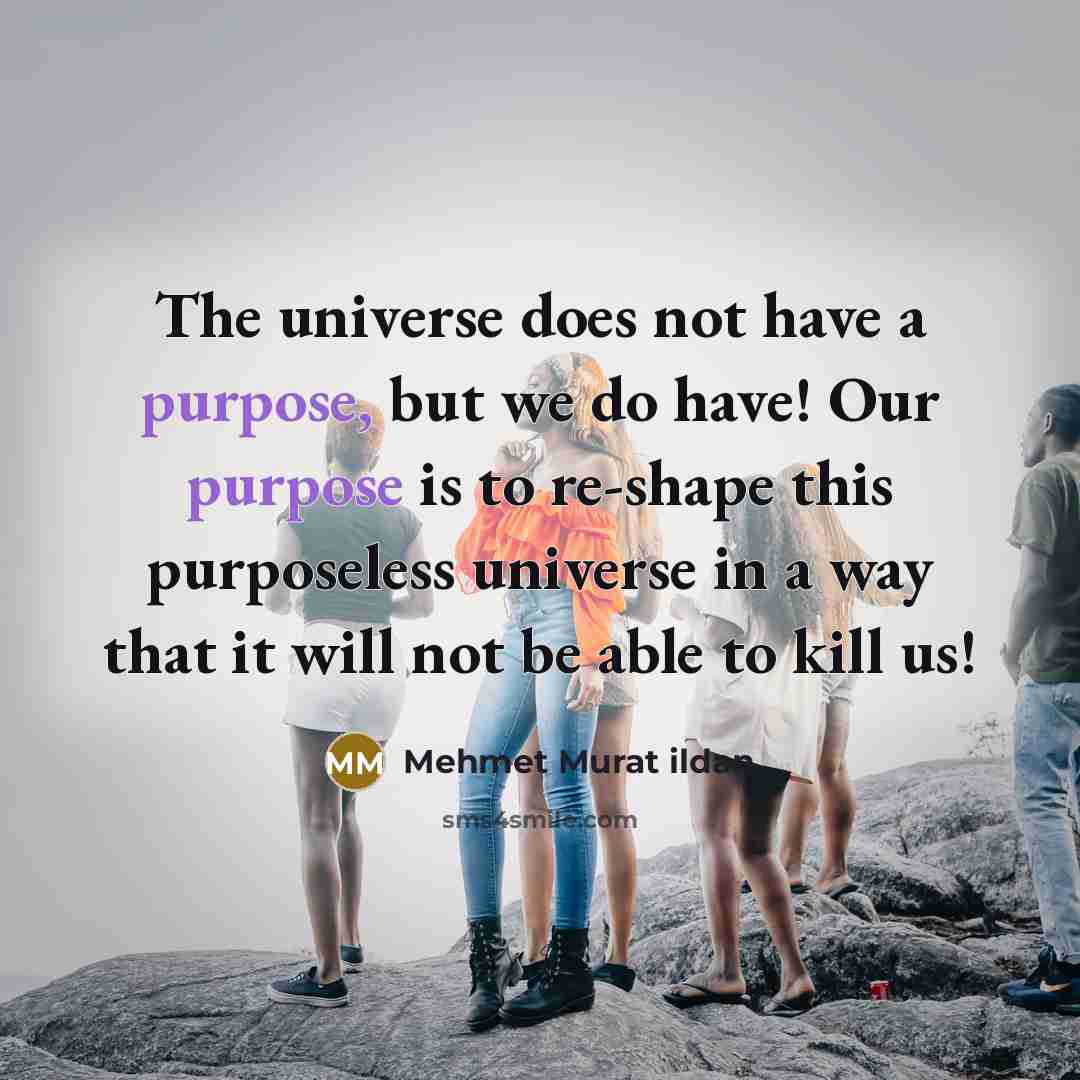 “The universe does not have a purpose, but we do…” quote by Mehmet Murat Ildan