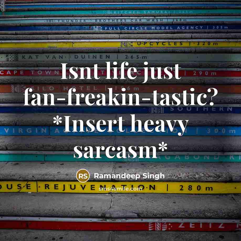 “Isnt life just fan-freakin-tastic? *Insert heavy sarcasm*…” quote by Ramandeep Singh