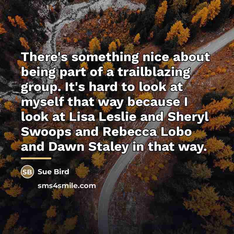 “There's something nice about being part of a trailblazing group.…” quote by Sue Bird