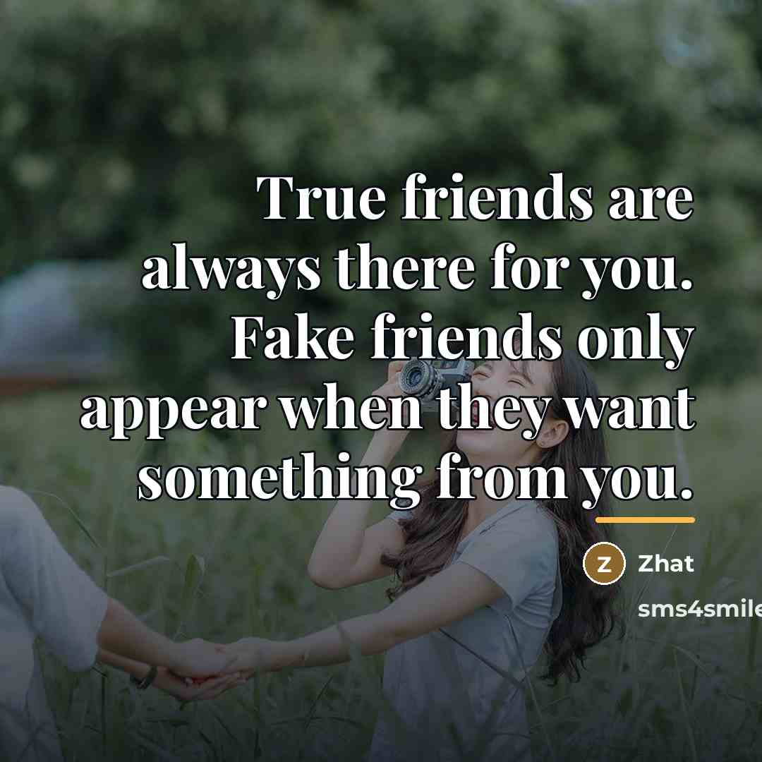 “True friends are always there for you. Fake friends only…” quote by Zhat
