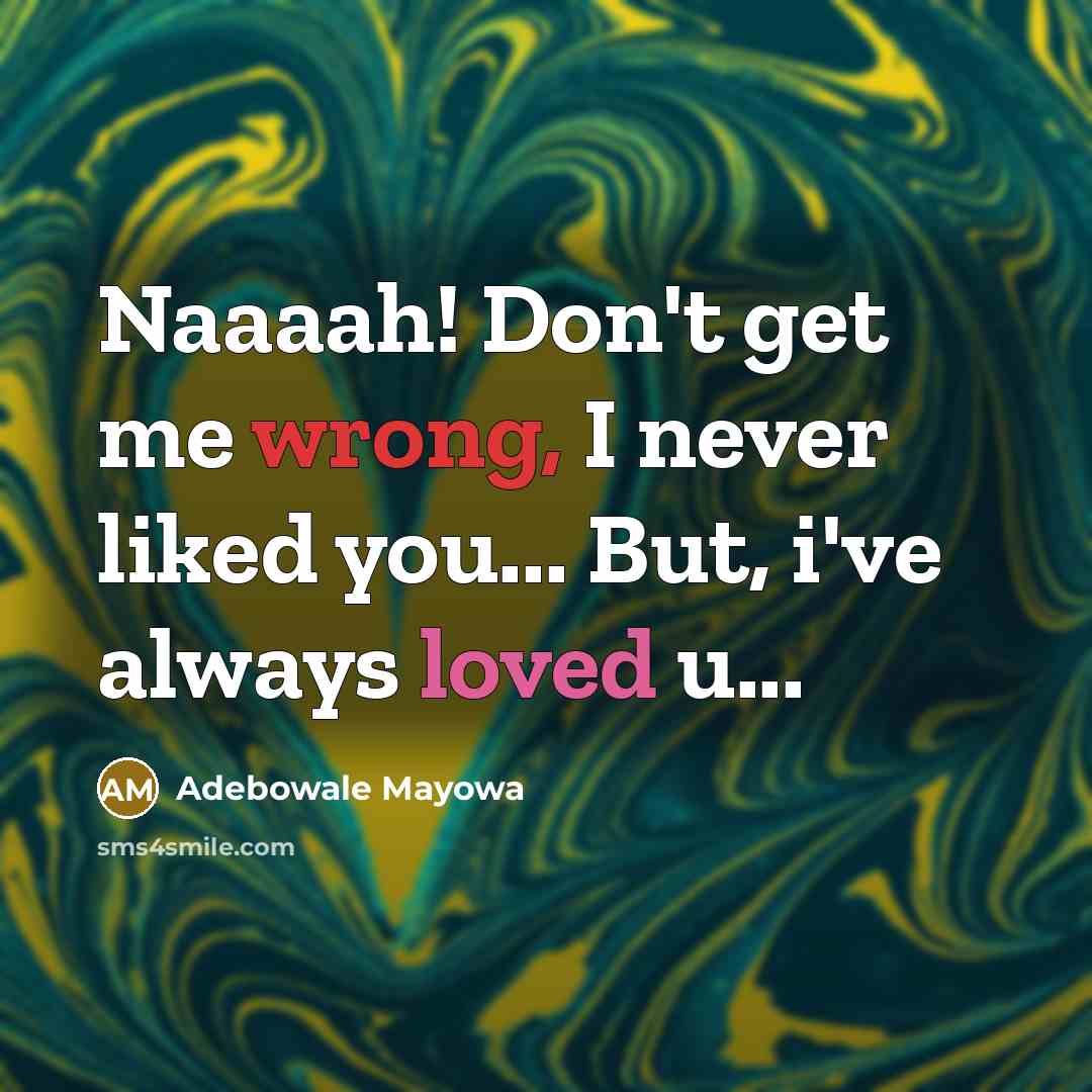 “Naaaah! Don't get me wrong, I never liked you... But,…” quote by Adebowale Mayowa