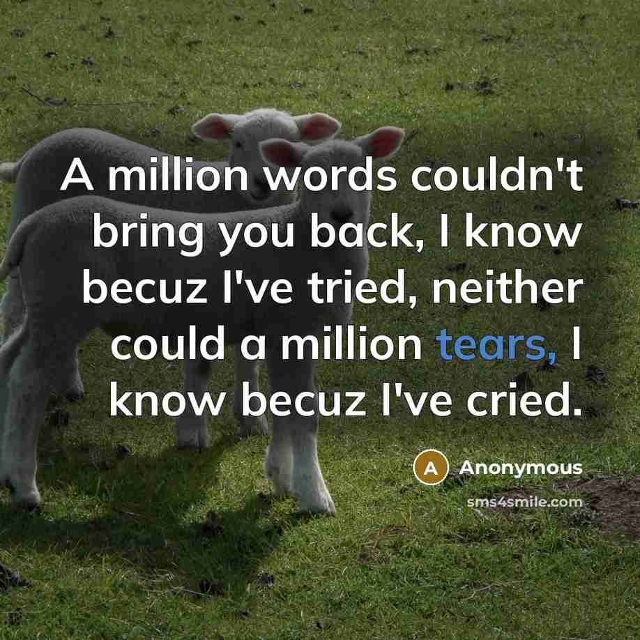“A million words couldn't bring you back, I know becuz…” quote by Anonymous