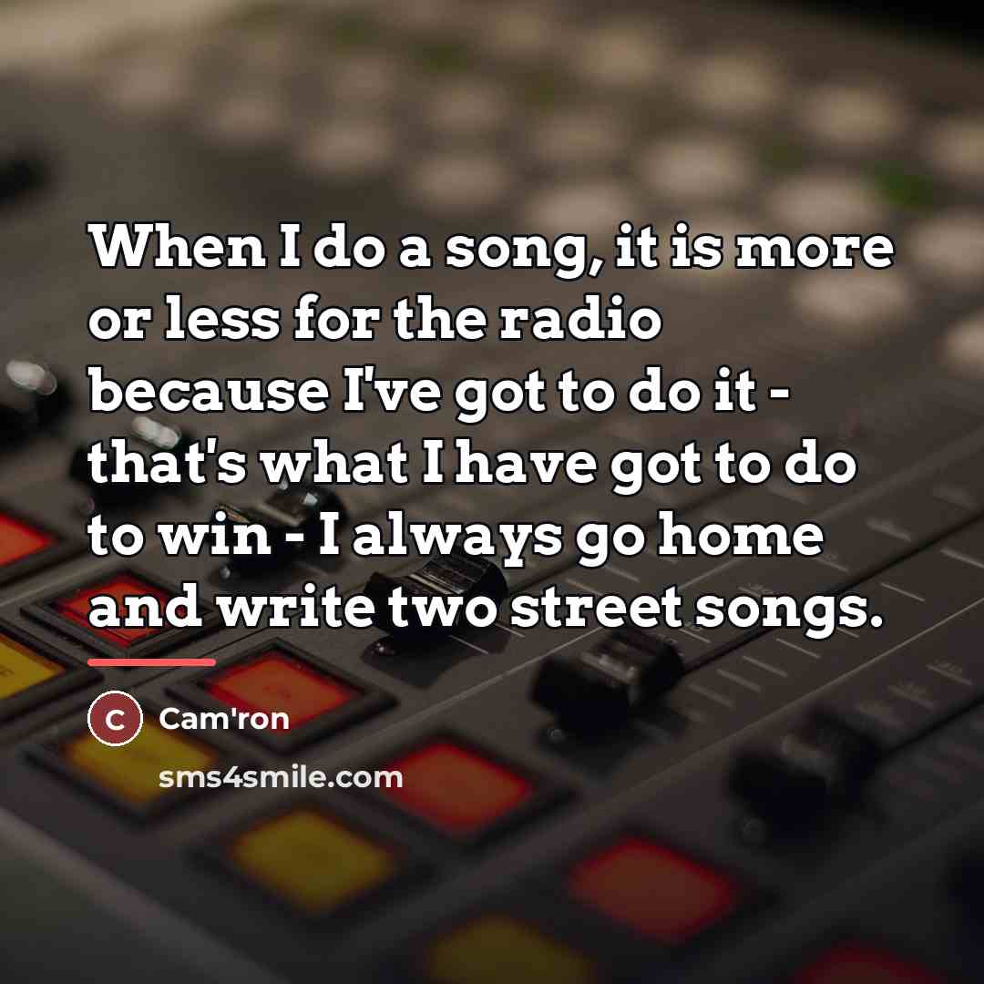 “When I do a song, it is more or less…” quote by Cam'ron