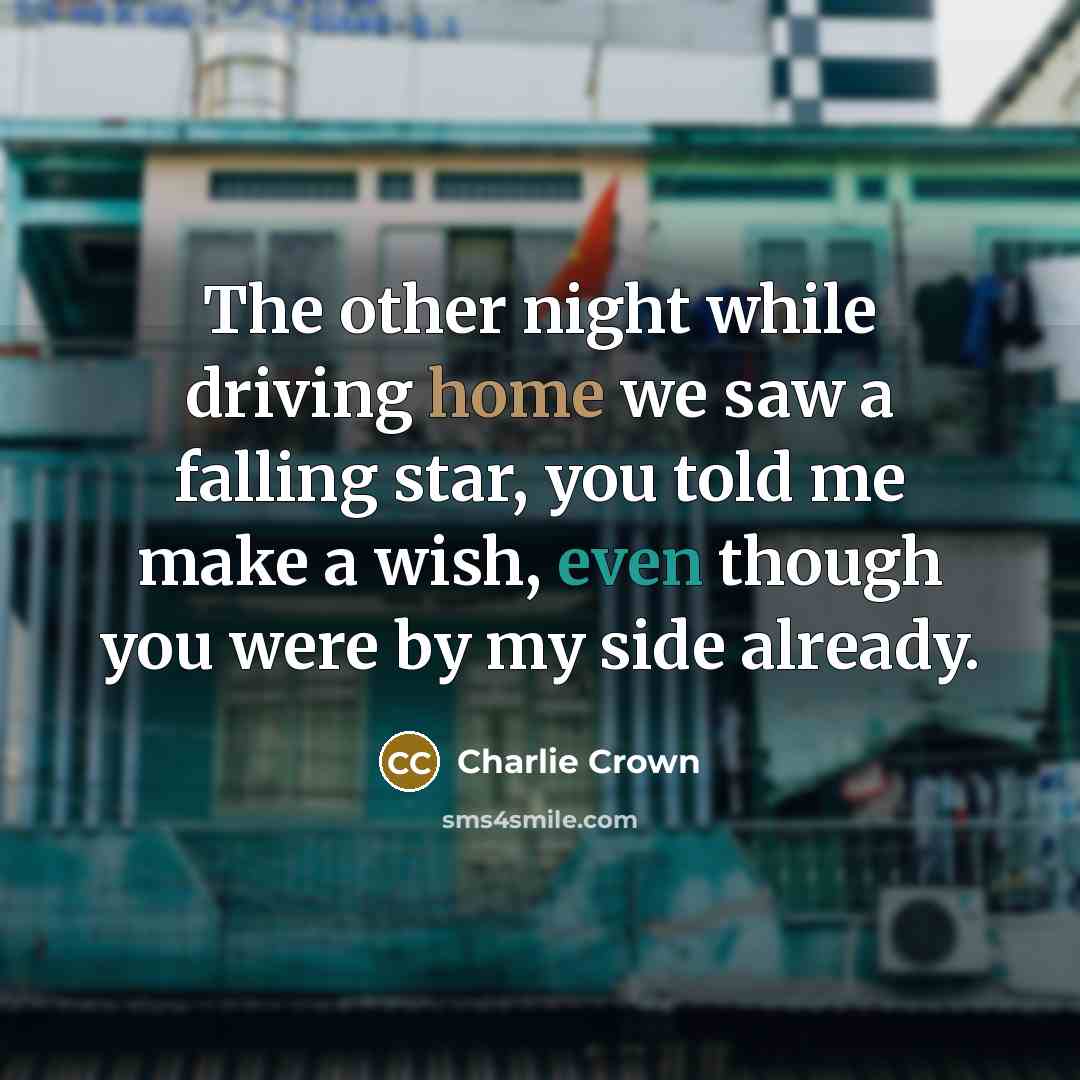 “The other night while driving home we saw a falling star, you told me make a wish, even though you were by my side already.” quote by Charlie Crown