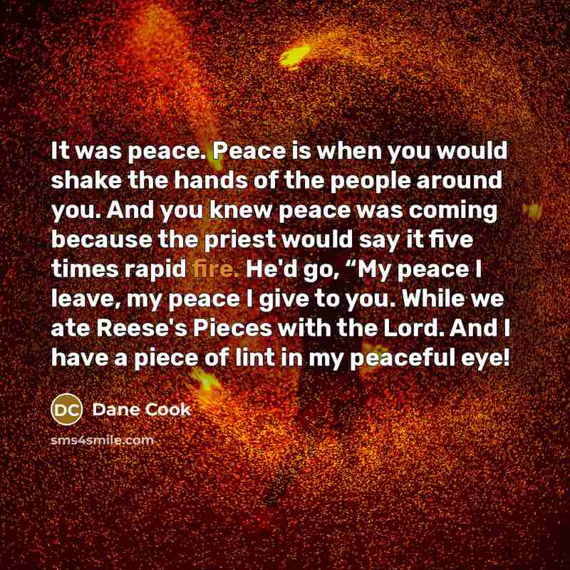 “It was peace. Peace is when you would shake the…” quote by Dane Cook