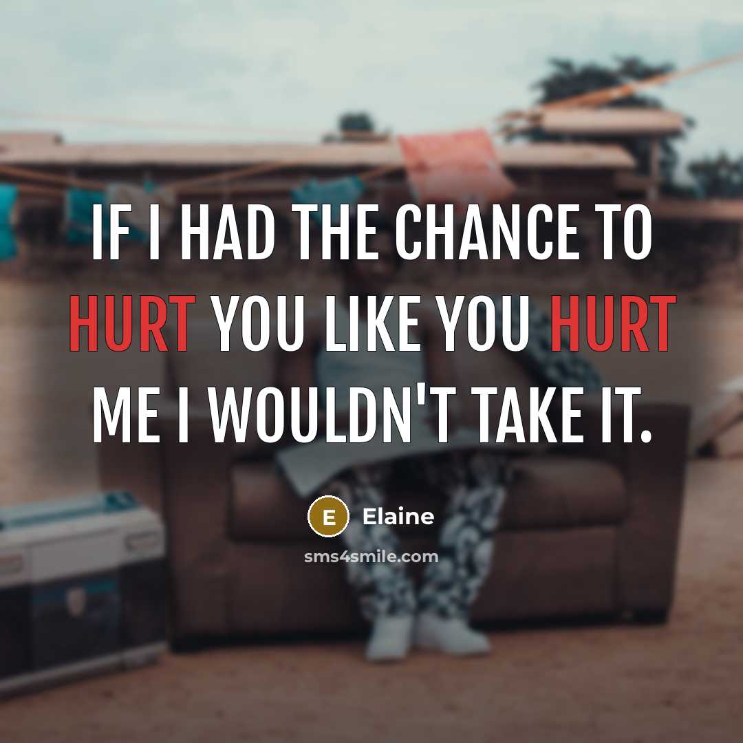 “If I had the chance to hurt you like you…” quote by Elaine
