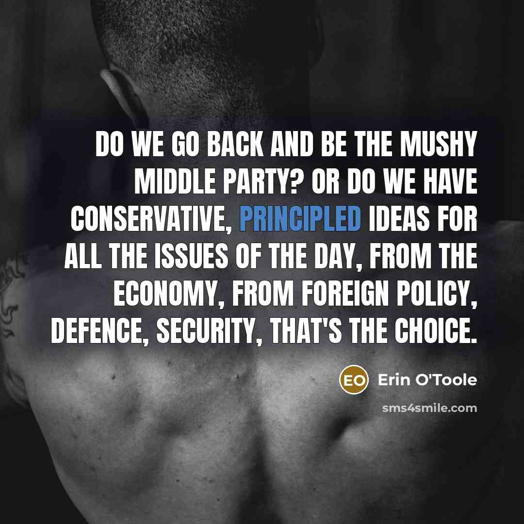 “Do we go back and be the mushy middle party?…” quote by Erin O'Toole