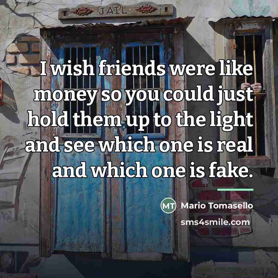“I wish friends were like money so you could just…” quote by Mario Tomasello