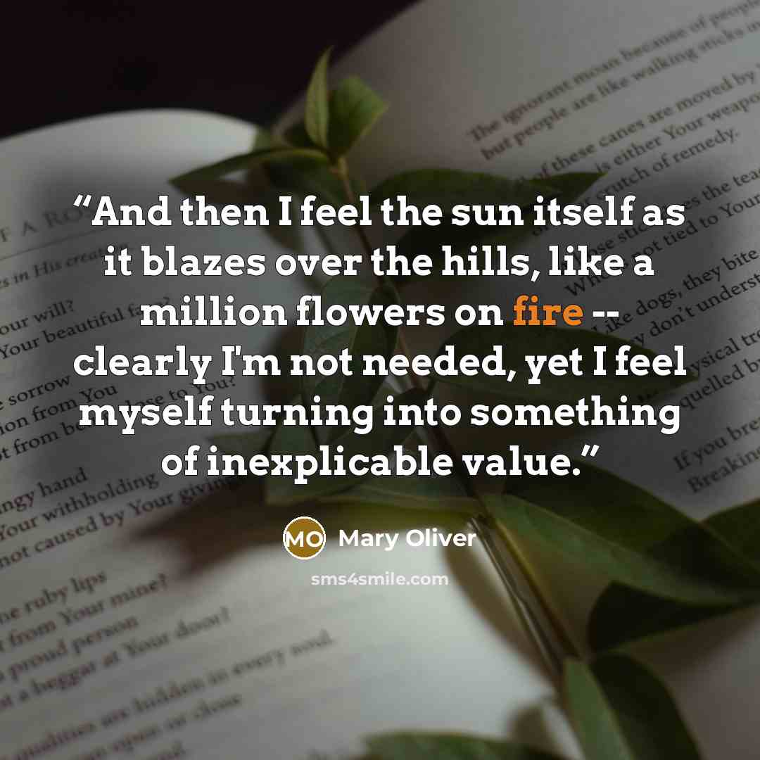 “And then I feel the sun itself as it blazes over the hills, like a million flowers on fire -- clearly I'm not needed, yet I feel myself turning into something of inexplicable value.” quote by Mary Oliver