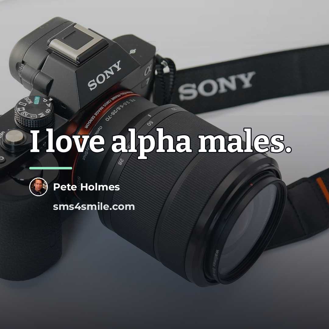 “I love alpha males.…” quote by Pete Holmes
