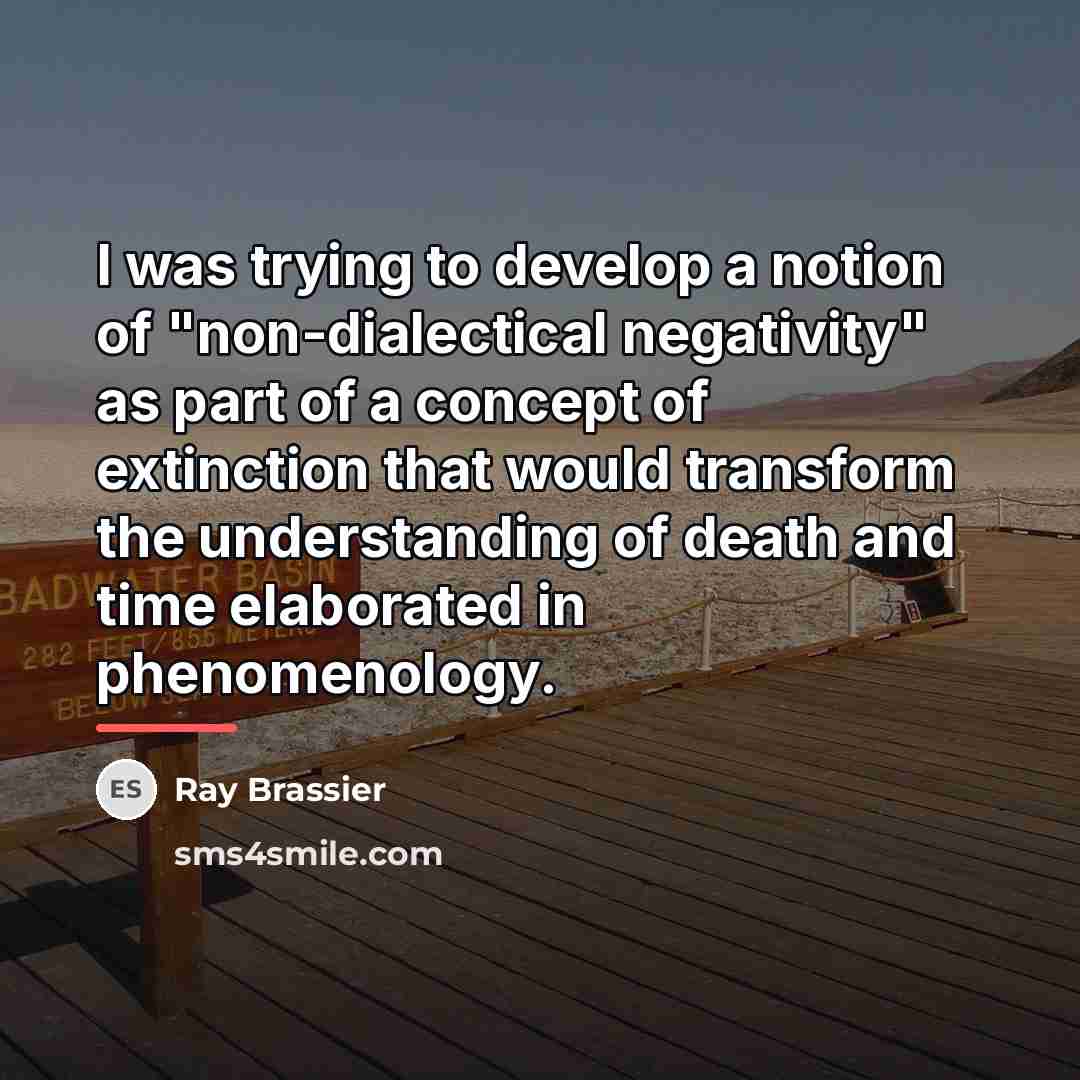 “I was trying to develop a notion of "non-dialectical negativity"…” quote by Ray Brassier
