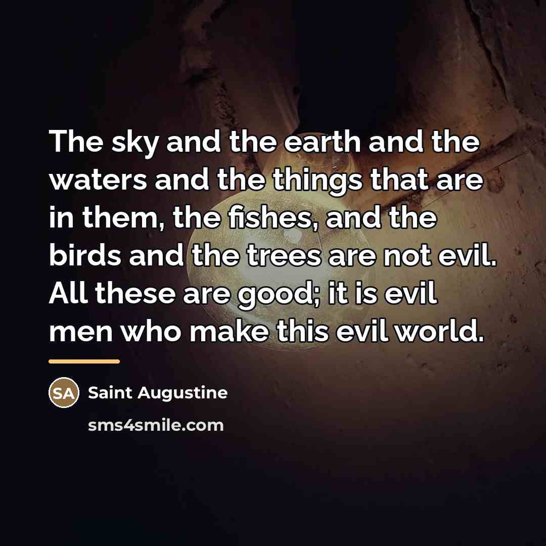 “The sky and the earth and the waters and the…” quote by Saint Augustine