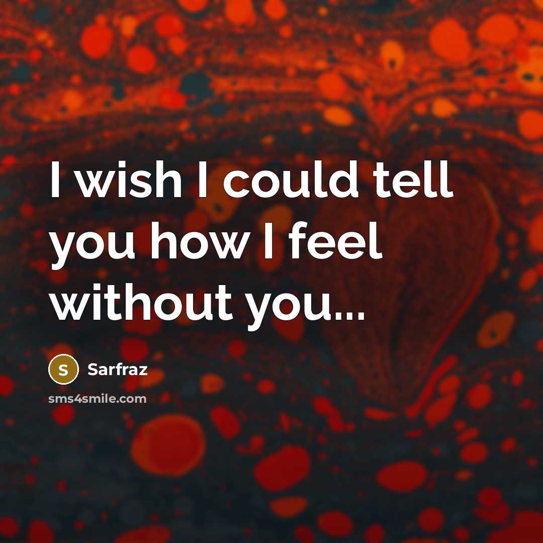 “I wish I could tell you how I feel without…” quote by Sarfraz