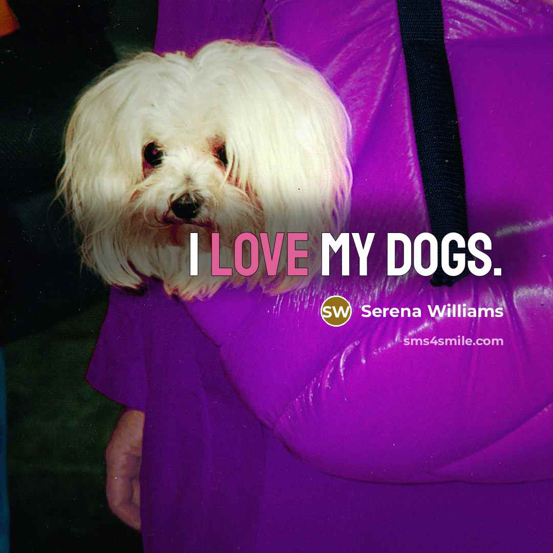 “I love my dogs.…” quote by Serena Williams