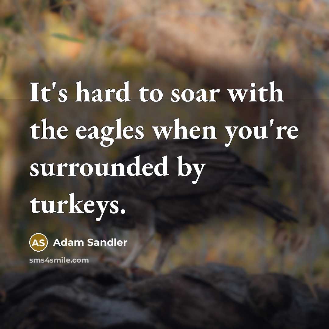 “It's hard to soar with the eagles when you're surrounded…” quote by Adam Sandler