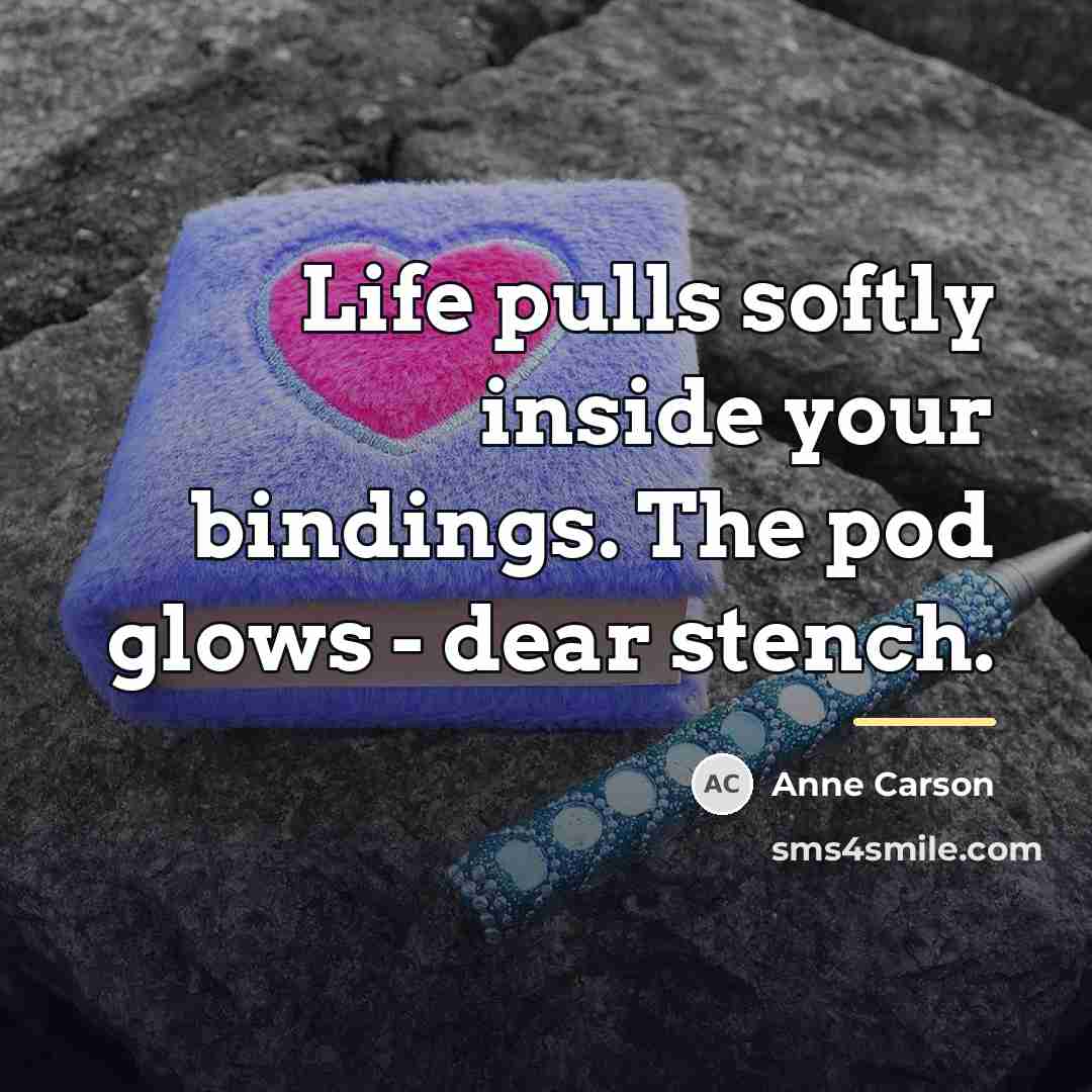 “Life pulls softly inside your bindings. The pod glows -…” quote by Anne Carson