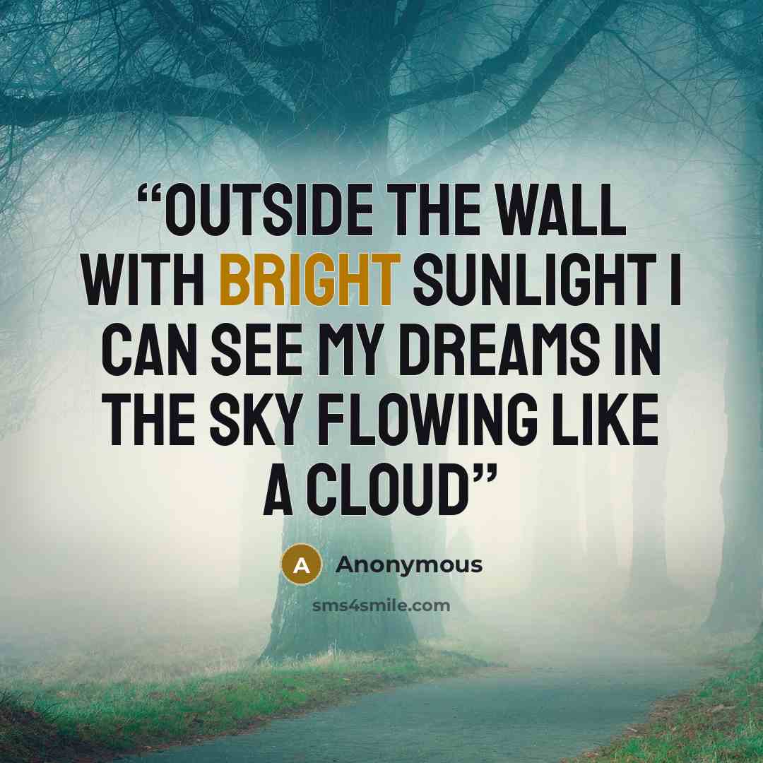 “outside the wall with bright sunlight i can see my dreams in the sky flowing like a cloud” quote by Anonymous