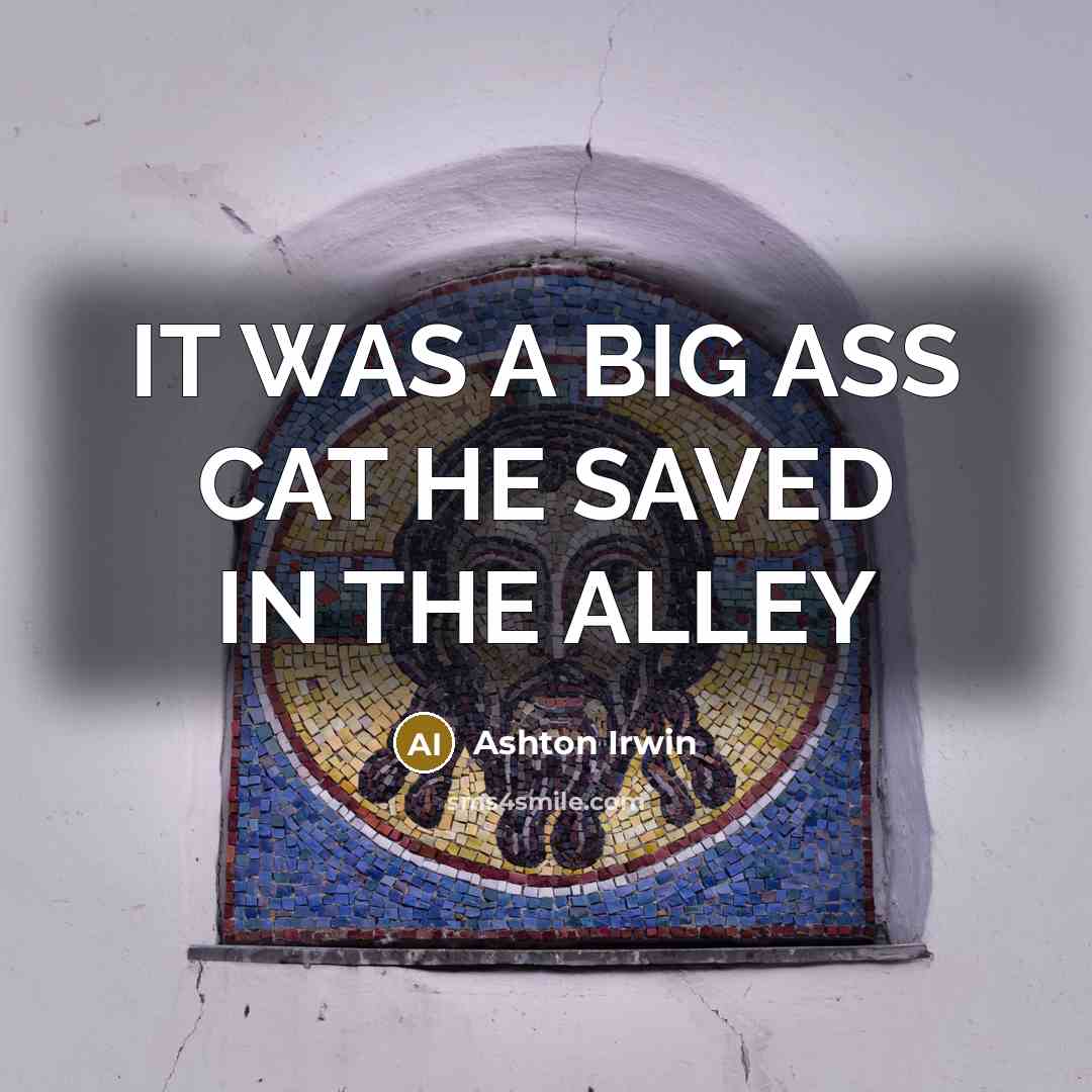 “IT WAS A BIG ASS CAT HE SAVED IN THE…” quote by Ashton Irwin