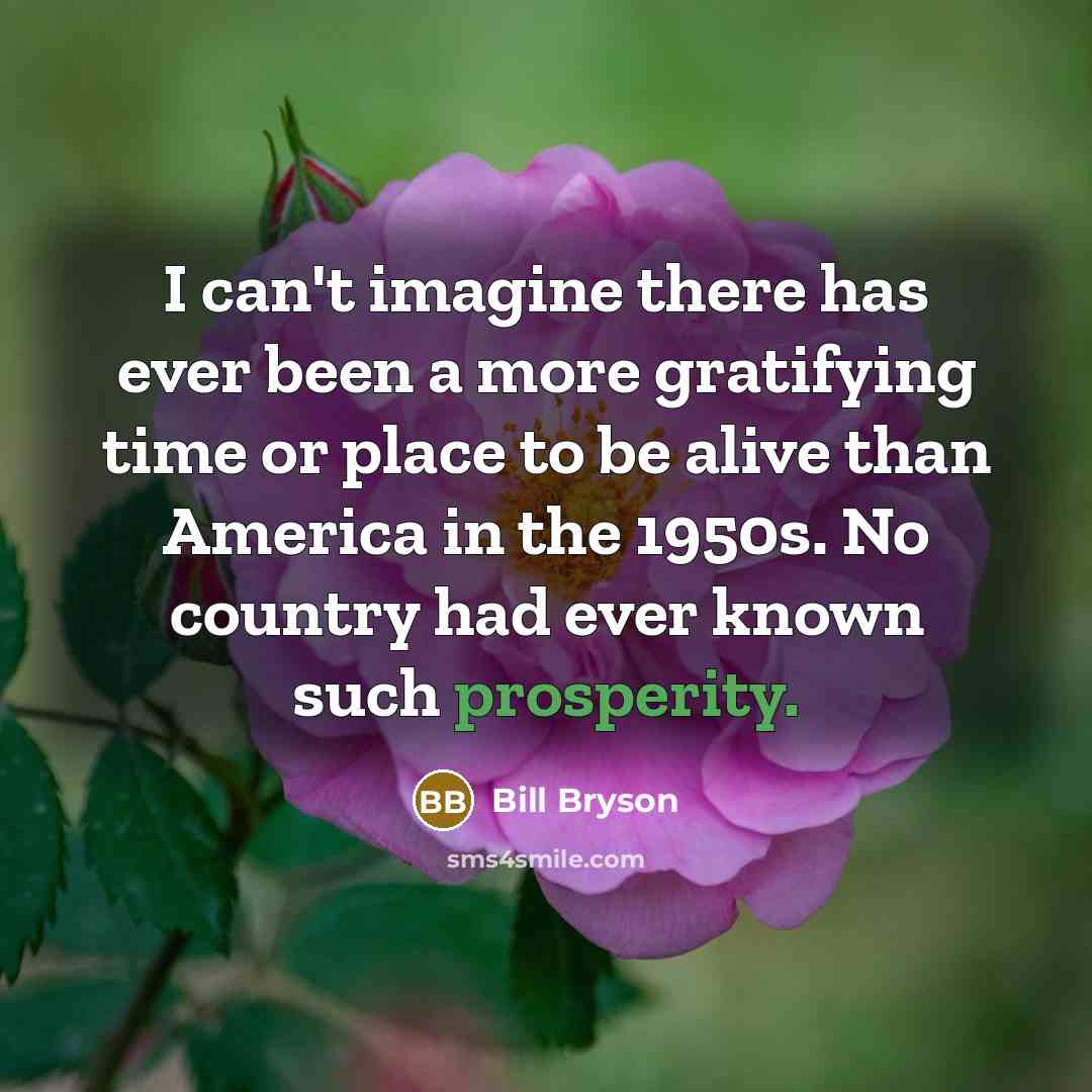 “I can't imagine there has ever been a more gratifying time or place to be alive than America in the 1950s. No country had ever known such prosperity.” quote by Bill Bryson