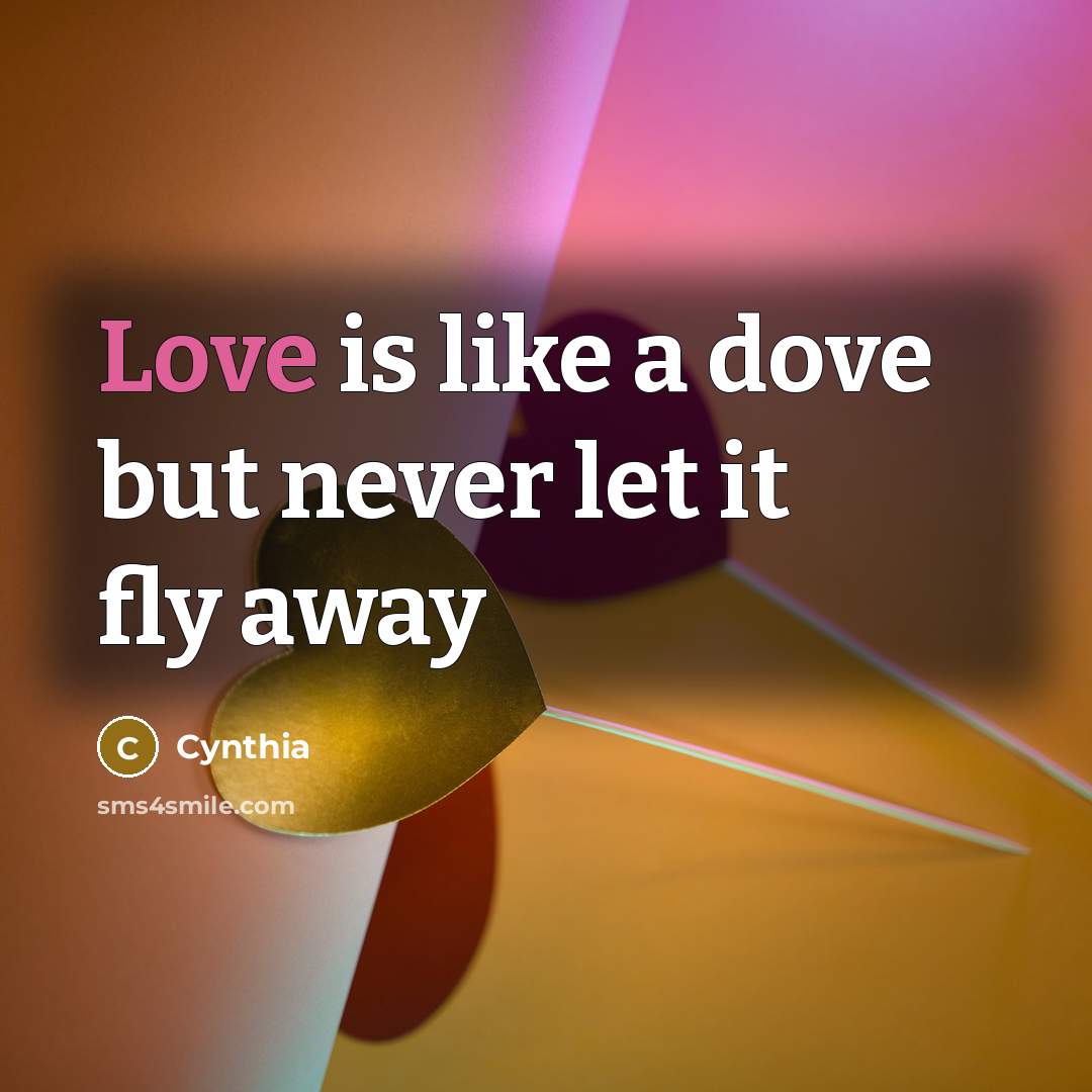 “Love is like a dove but never let it fly…” quote by Cynthia