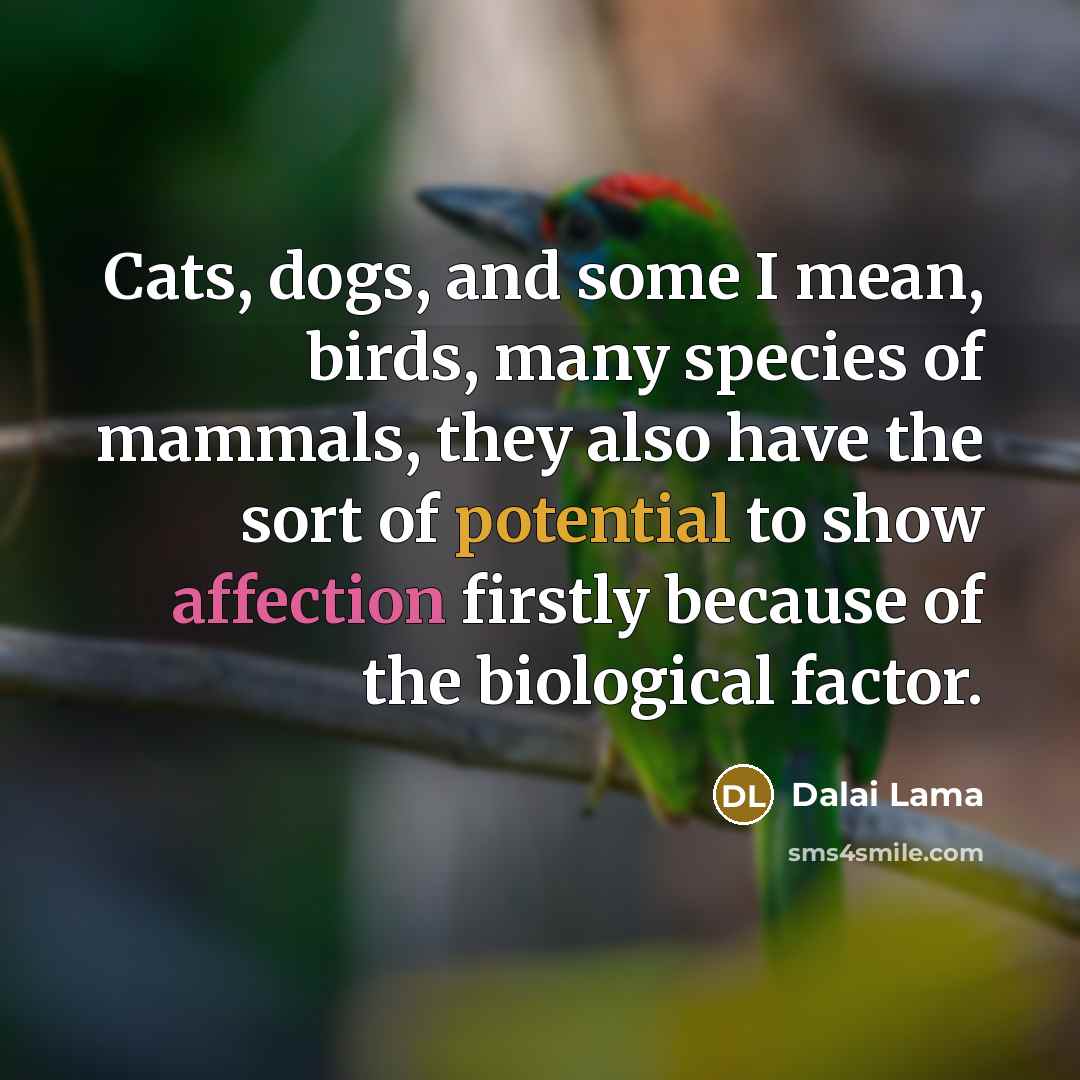 “Cats, dogs, and some I mean, birds, many species of…” quote by Dalai Lama