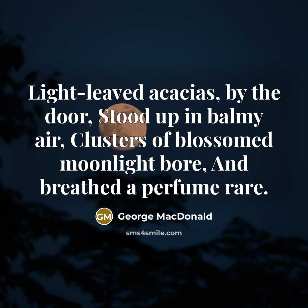 “Light-leaved acacias, by the door, Stood up in balmy air,…” quote by George MacDonald