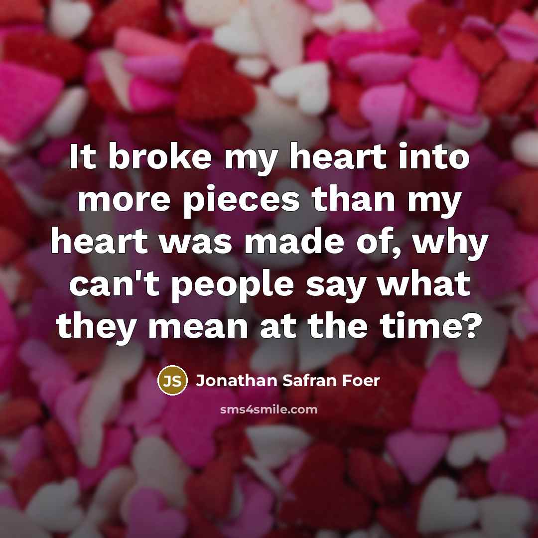 “It broke my heart into more pieces than my heart…” quote by Jonathan Safran Foer