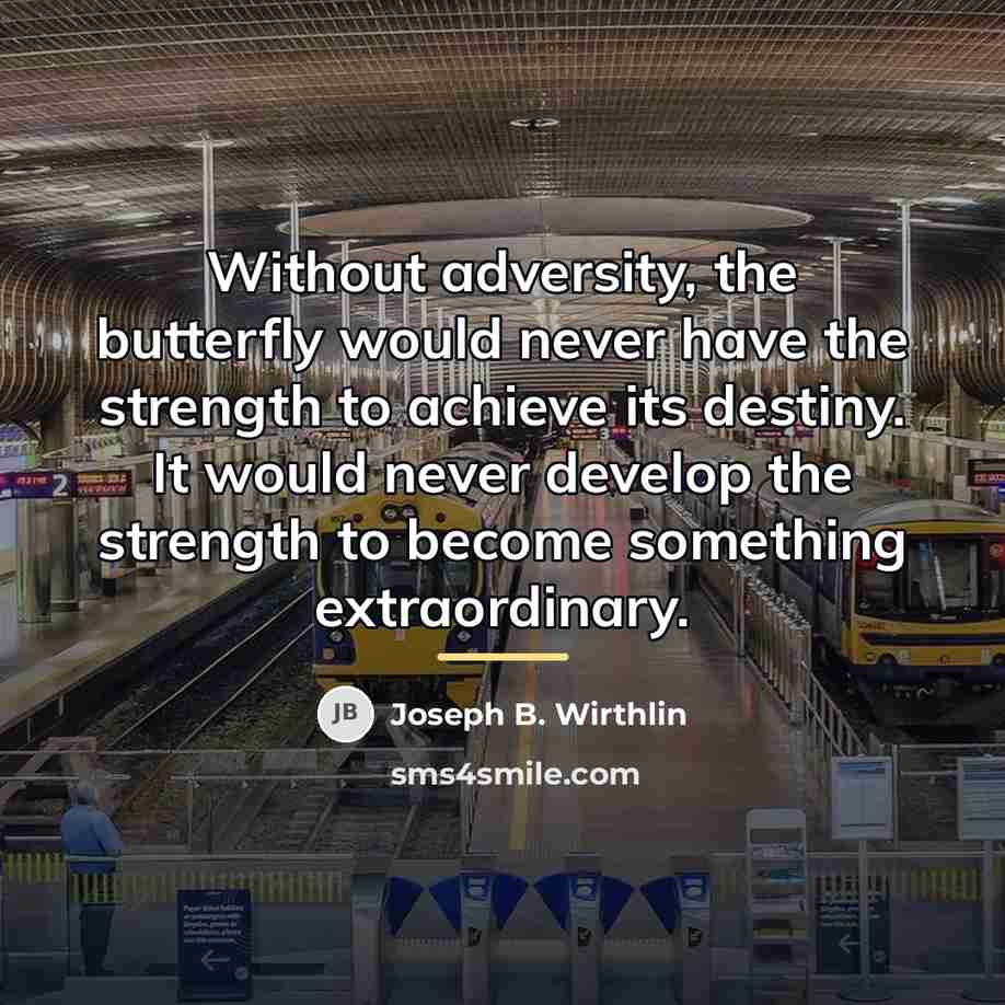 “Without adversity, the butterfly would never have the strength to…” quote by Joseph B. Wirthlin