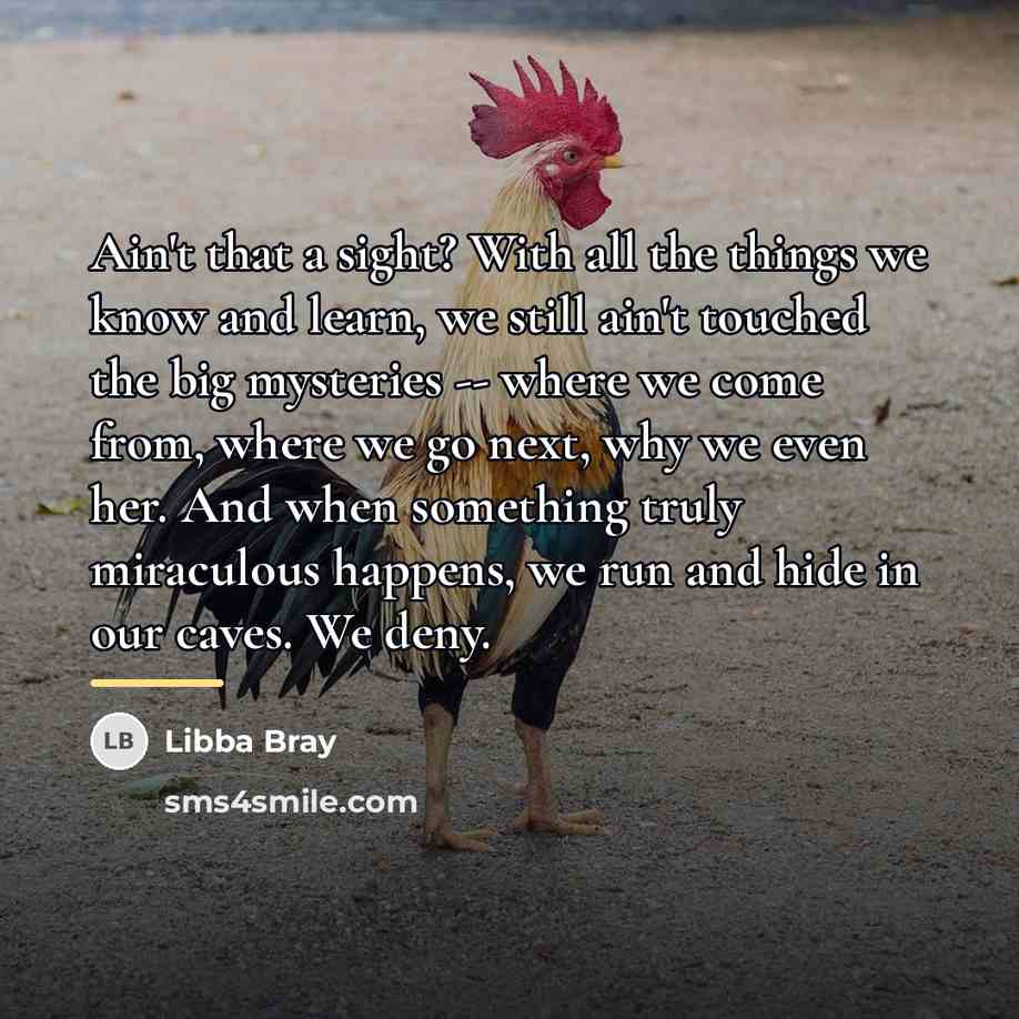 “Ain't that a sight? With all the things we know…” quote by Libba Bray