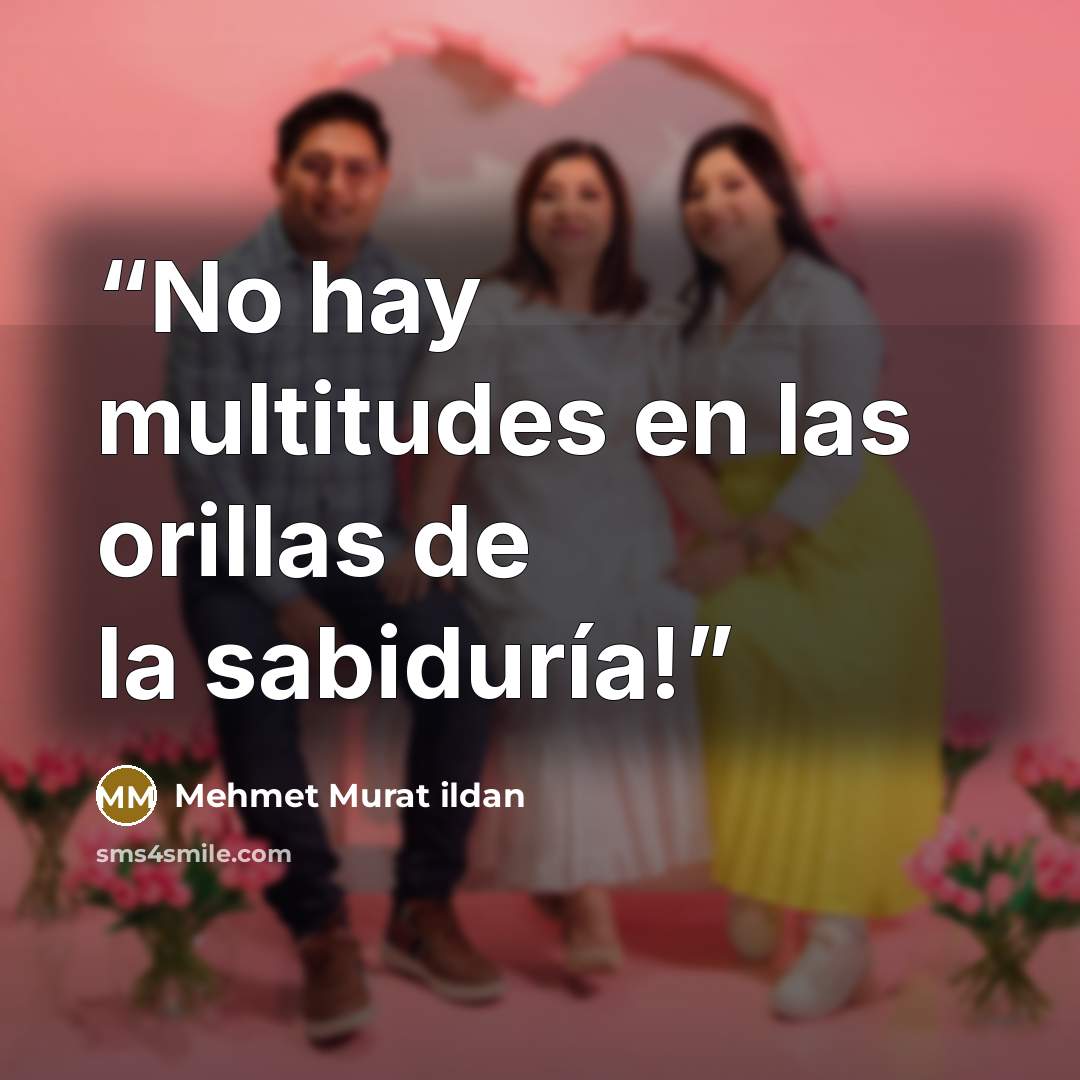“No hay multitudes en las orillas de la sabiduría!” quote by Mehmet Murat ildan