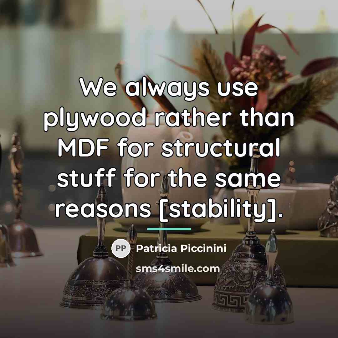 “We always use plywood rather than MDF for structural stuff…” quote by Patricia Piccinini