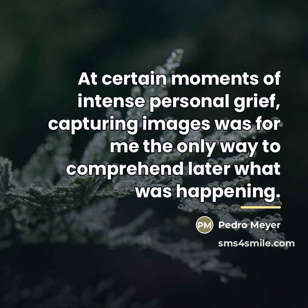 “At certain moments of intense personal grief, capturing images was…” quote by Pedro Meyer