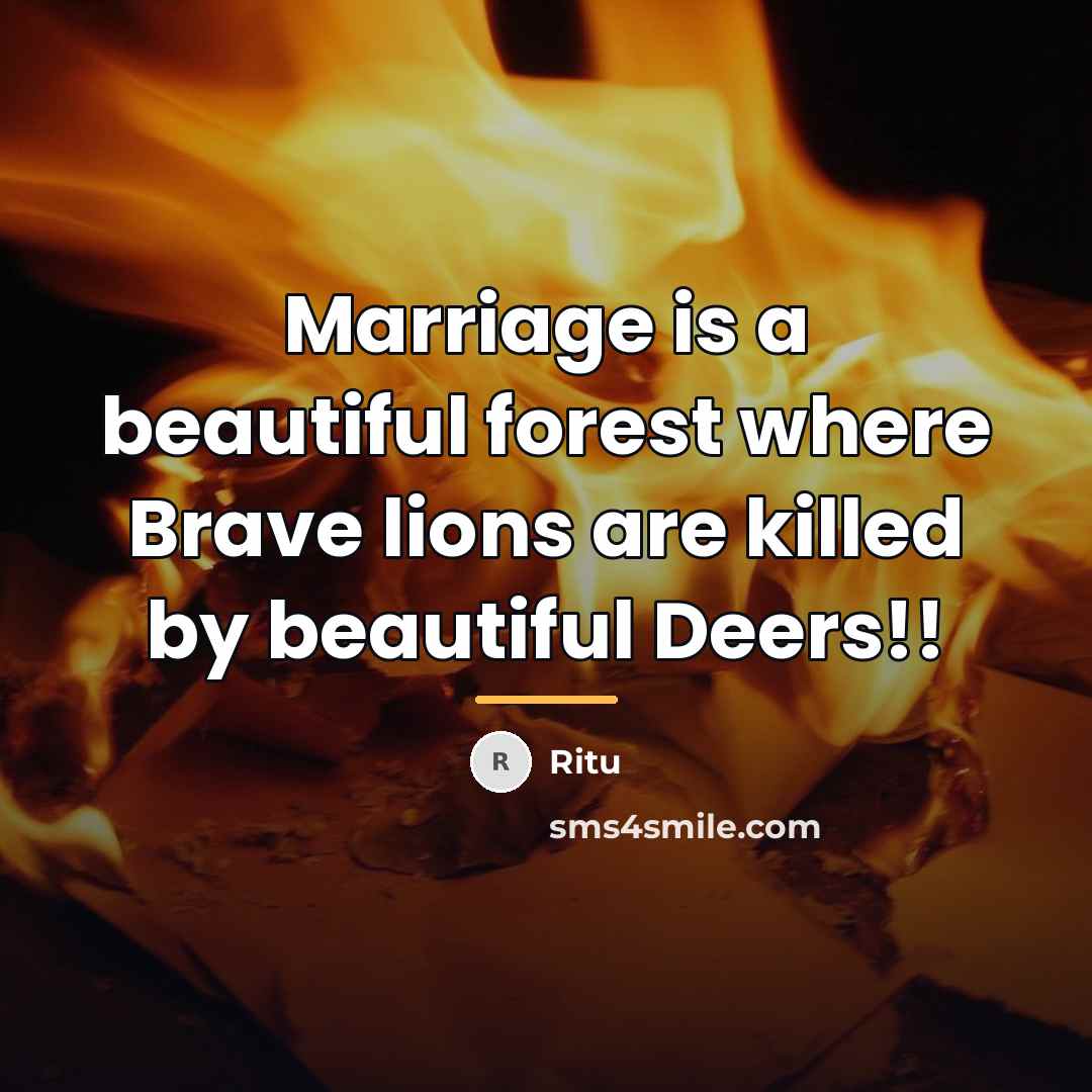 “Marriage is a beautiful forest where Brave lions are killed…” quote by Ritu