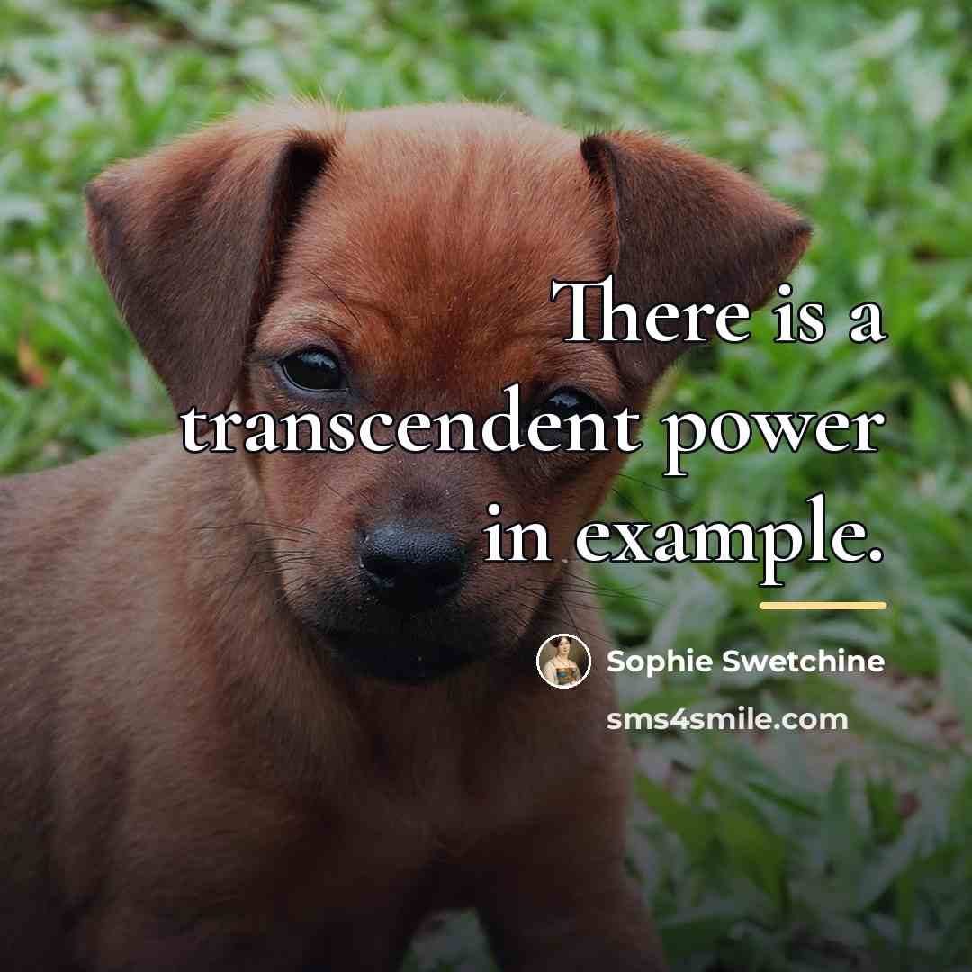 “There is a transcendent power in example.…” quote by Sophie Swetchine