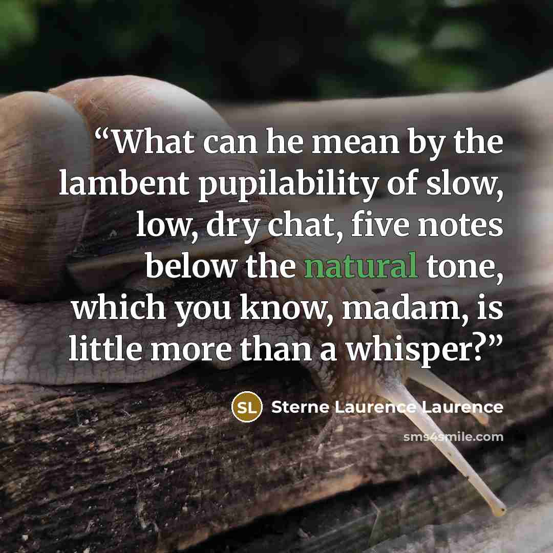 “What can he mean by the lambent pupilability of slow, low, dry chat, five notes below the natural tone, which you know, madam, is little more than a whisper?” quote by Sterne Laurence Laurence