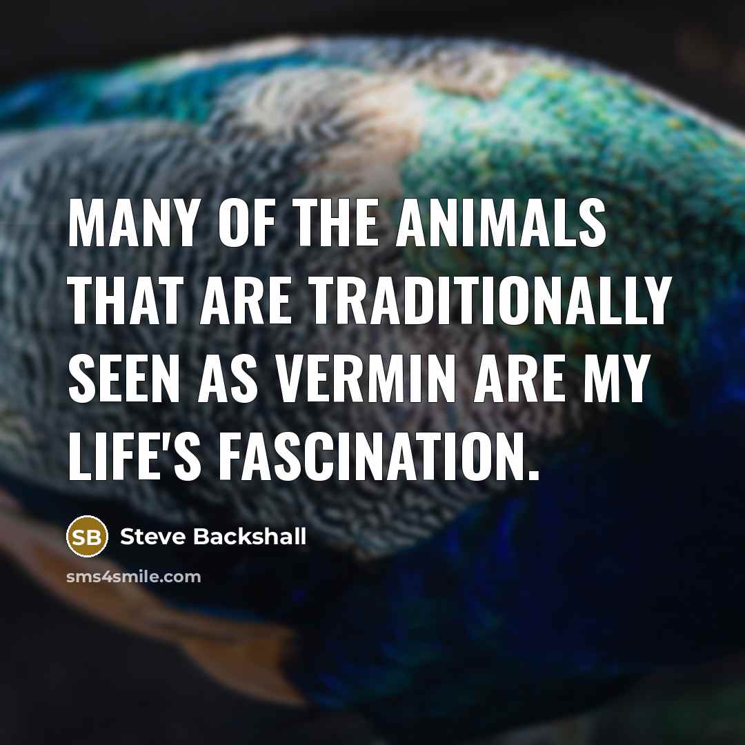 “Many of the animals that are traditionally seen as vermin…” quote by Steve Backshall