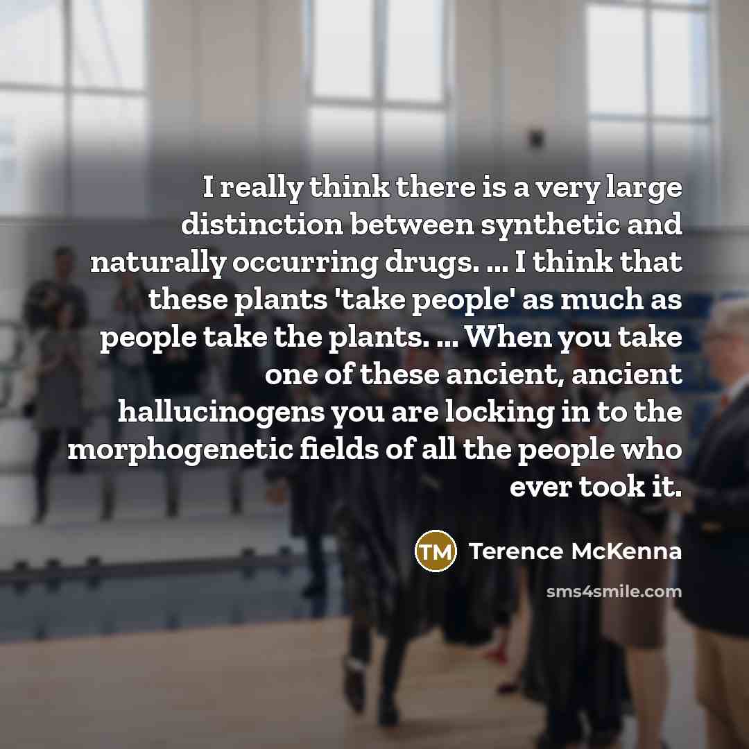 “I really think there is a very large distinction between…” quote by Terence McKenna