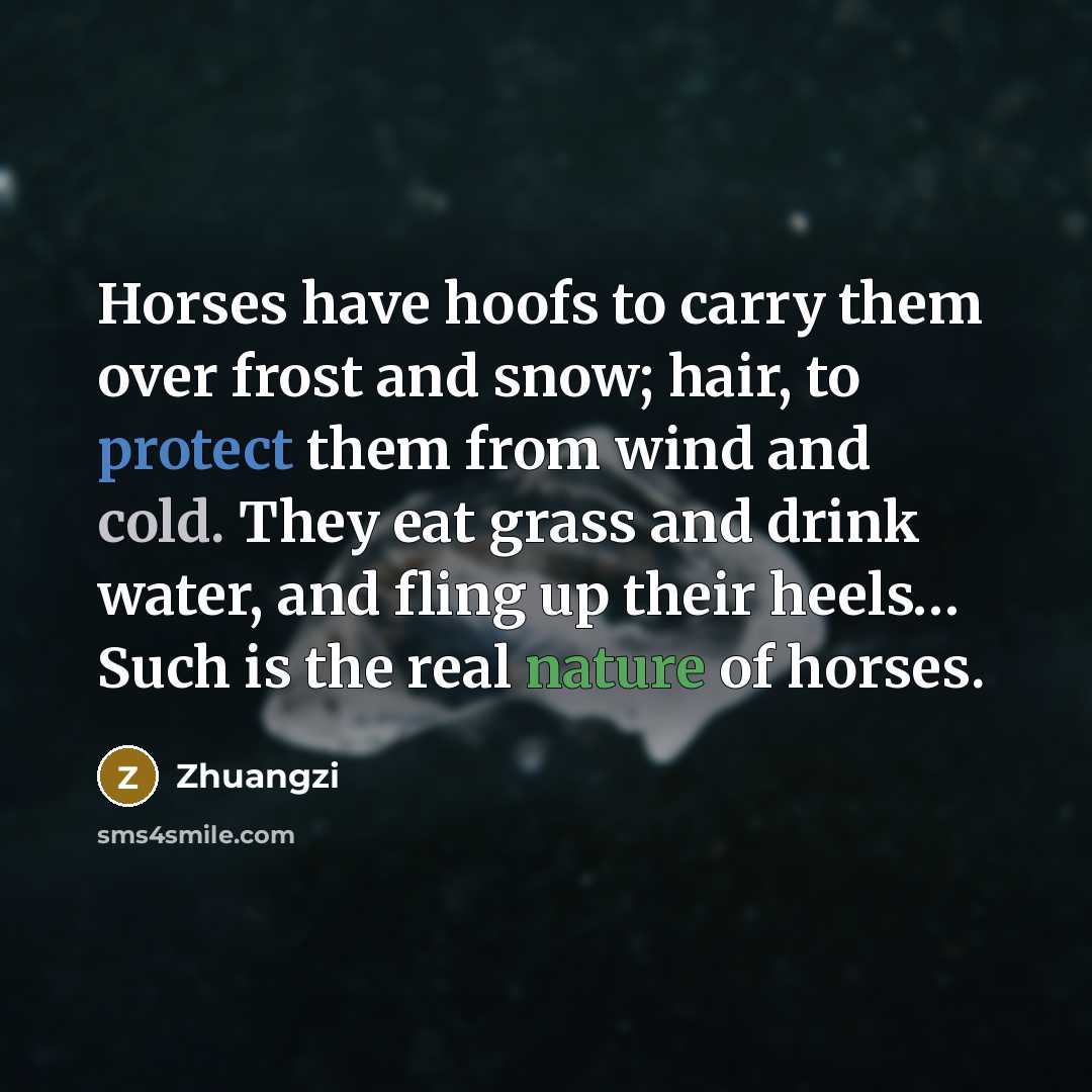 “Horses have hoofs to carry them over frost and snow;…” quote by Zhuangzi