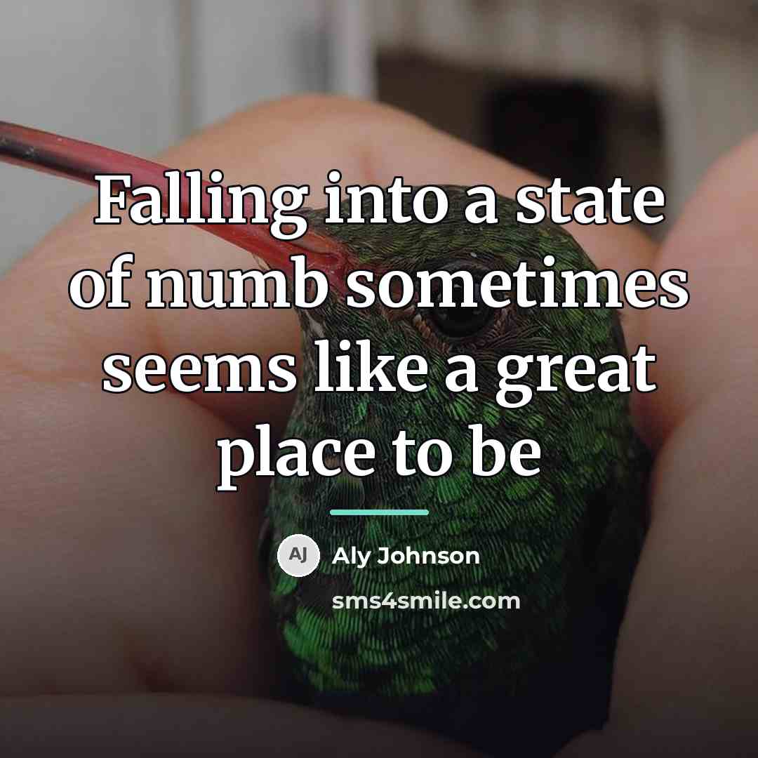 “Falling into a state of numb sometimes seems like a…” quote by Aly Johnson