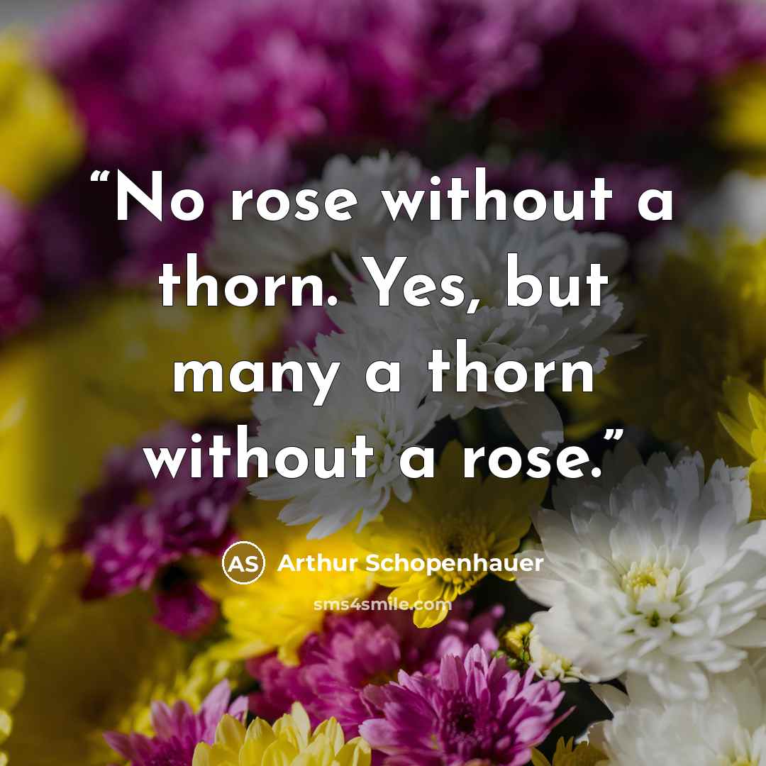 “No rose without a thorn. Yes, but many a thorn without a rose.” quote by Arthur Schopenhauer