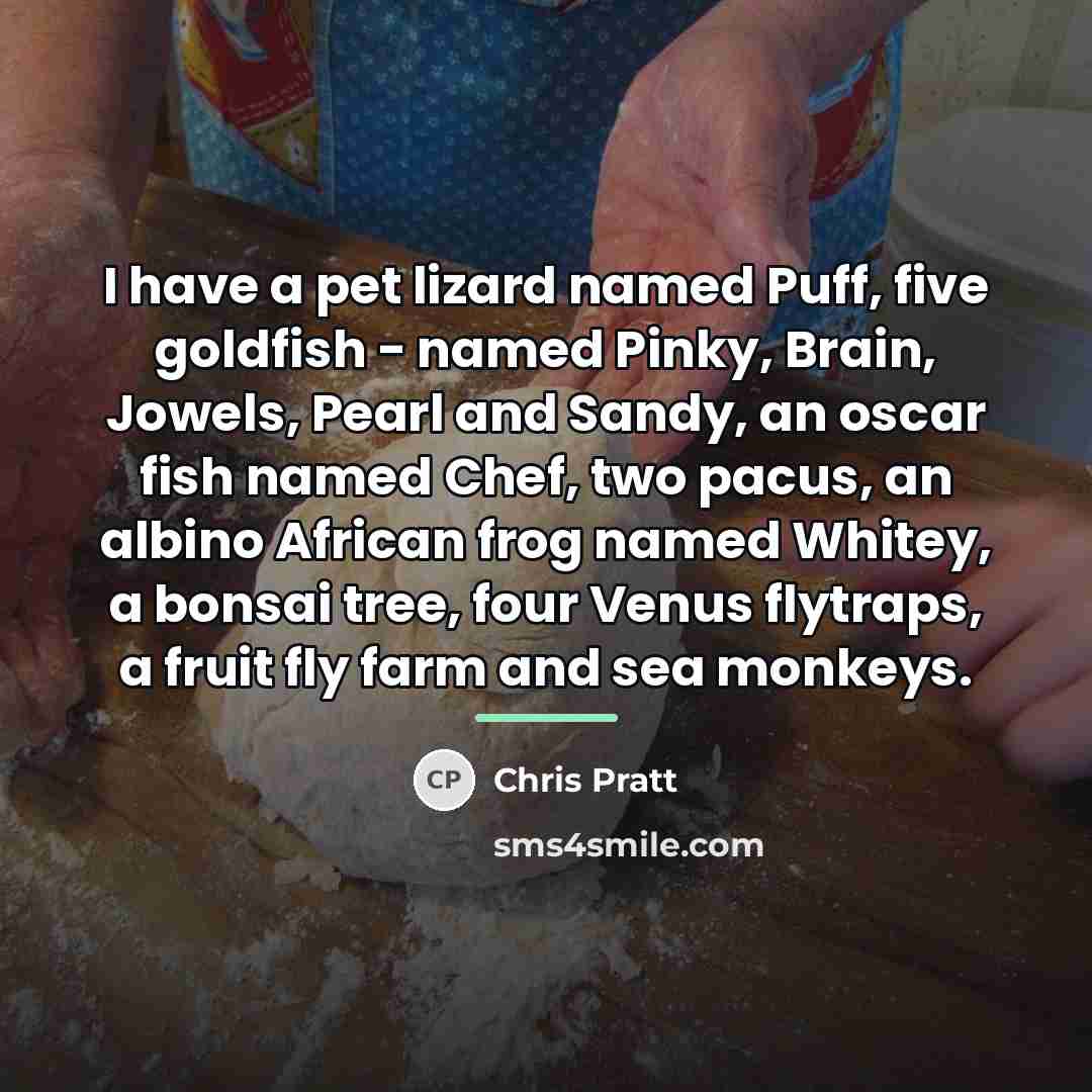 “I have a pet lizard named Puff, five goldfish -…” quote by Chris Pratt