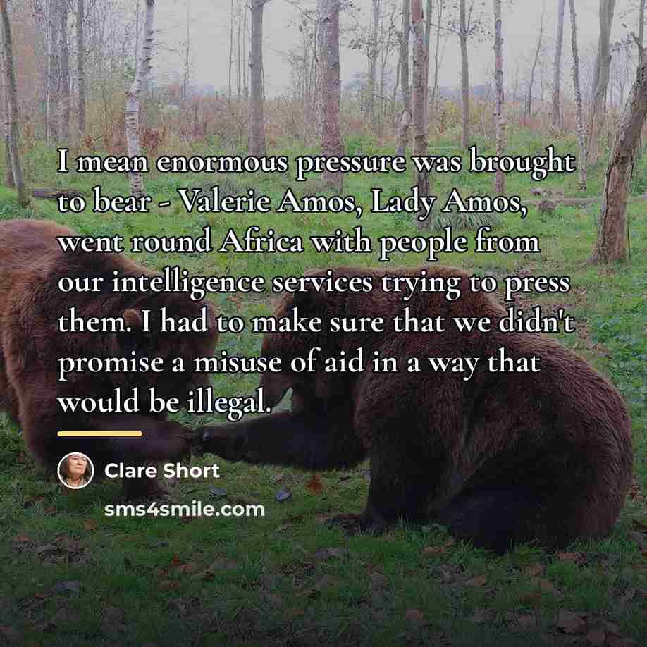 “I mean enormous pressure was brought to bear - Valerie…” quote by Clare Short
