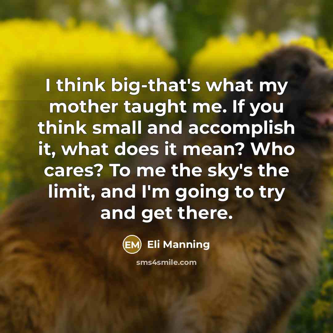 “I think big-that's what my mother taught me. If you…” quote by Eli Manning