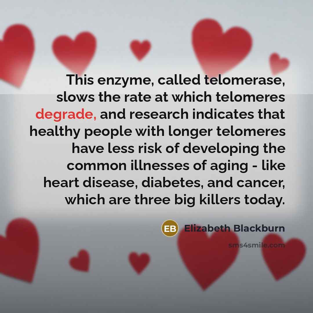 “This enzyme, called telomerase, slows the rate at which telomeres…” quote by Elizabeth Blackburn