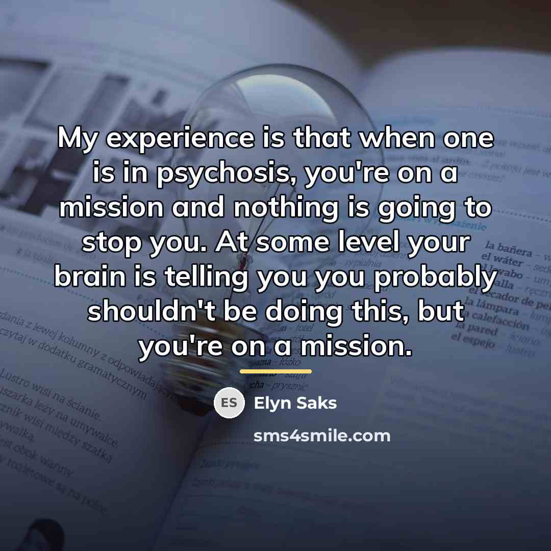 “My experience is that when one is in psychosis, you're…” quote by Elyn Saks