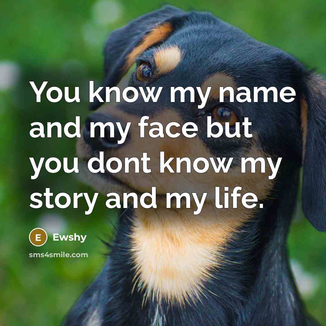 “You know my name and my face but you dont know my story and my life.” quote by Ewshy