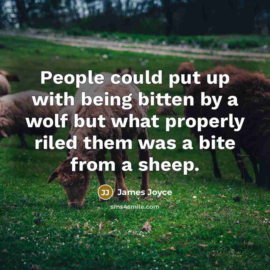“People could put up with being bitten by a wolf but what properly riled them was a bite from a sheep.” quote by James Joyce